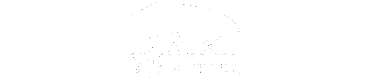 Dart Properties
