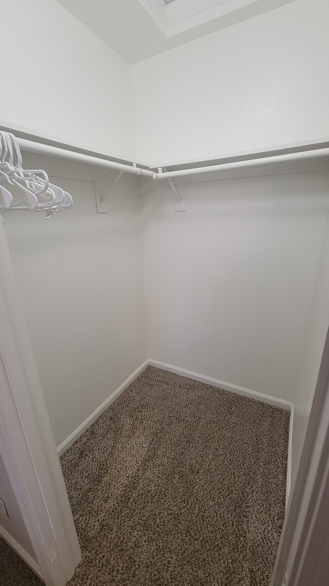 Building Photo - 3670 Judy Ave