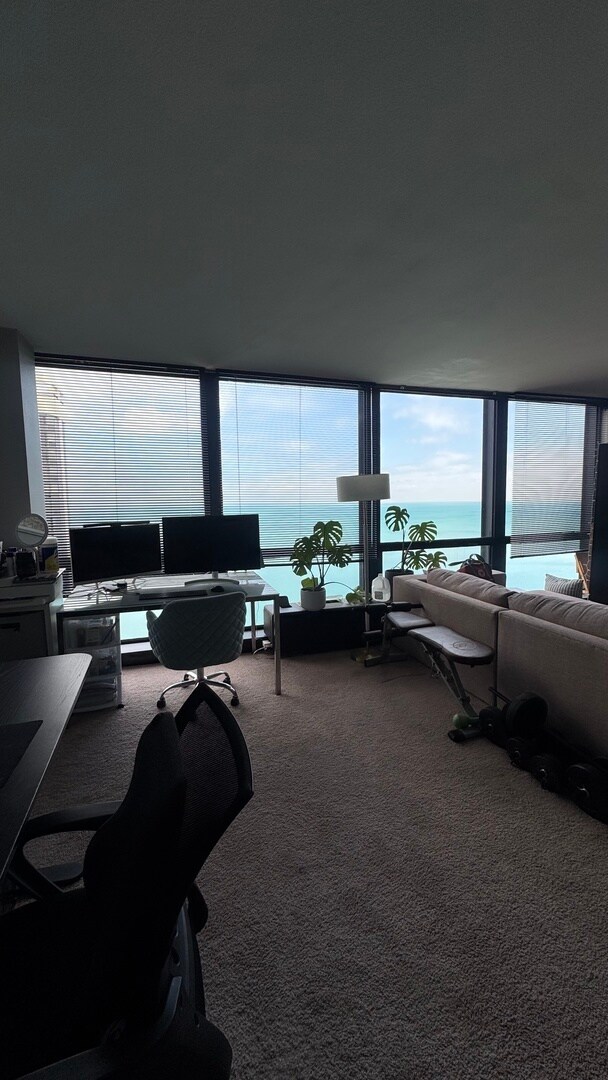 Foto del edificio - 900 N Lake Shore Dr