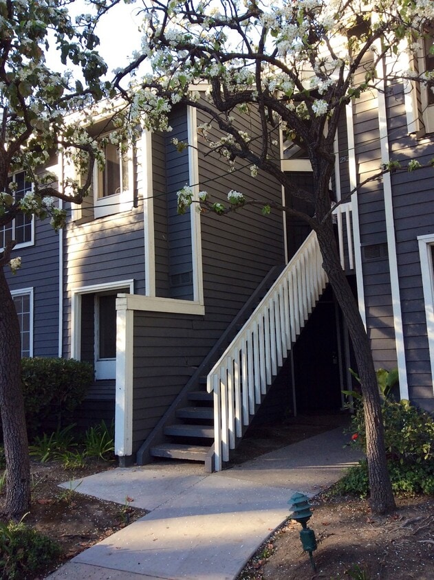 Primary Photo - GORGEOUS 2 BEDROOM 1 BATH CONDO