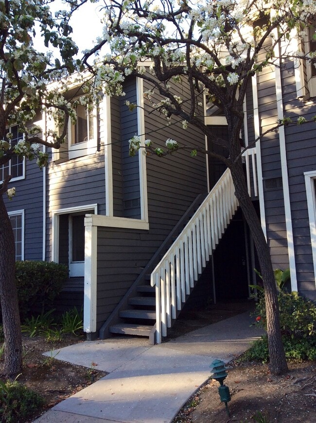 Building Photo - 25275 Pine Creek Ln