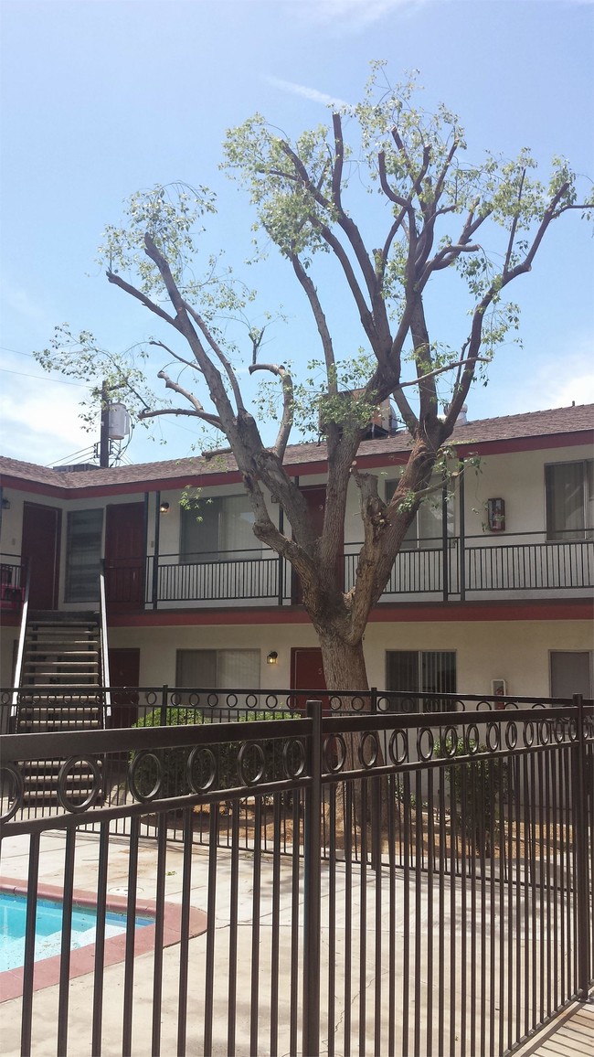 Foto del edificio - 2121 California Ave