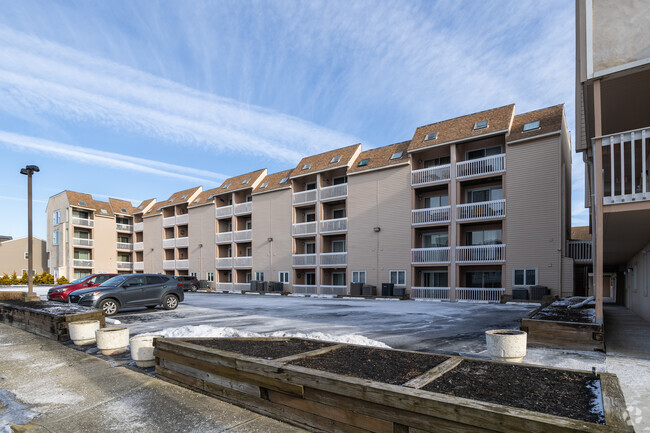 Building Photo - Islander Condominiums