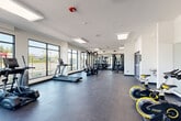 Located at 2905 Santa Rosa Ave in Santa Rosa, California, this fitness center is a thoughtfully designed, single-floor facility offering a generous and open workout environment. The space is defined by its clean, contemporary aesthetic, featuring crisp white walls, dark speckled rubber flooring, and a bright, airy atmosphere created by an array of large floor-to-ceiling windows along multiple walls. These expansive windows flood the interior with natural light and provide views of the surrounding outdoor area, giving the space an open and energizing feel. Overhead, flush-panel lighting fixtures complement the natural light throughout the day. The facility is well-appointed with a comprehensive selection of equipment, including treadmills, elliptical machines, stationary cycling bikes, rowing machines, and a multi-station cable strength machine, accommodating a full range of cardio and resistance training needs. Full-length mirrors line one wall, enhancing the sense of space and supporting proper form during workouts. Near the entrance, a dual drinking fountain is conveniently mounted to the wall, and double doors provide easy access in and out of the facility. The overall ambiance is clean, modern, and functional, making it a capable and inviting space for fitness at any level.
