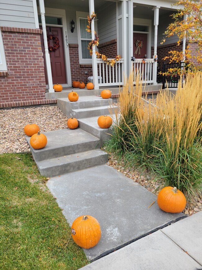 14077 Jackson St, Thornton, CO 80602 Townhome Rentals in Thornton CO