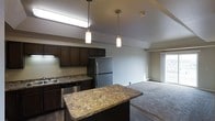 This single-floor space features an open-concept layout that connects the kitchen and living area in a cohesive, functional design. The kitchen is well-appointed with rich, dark cabinetry that contrasts beautifully against the bold granite countertops, which are featured on both the perimeter counters and a central island. The island provides additional workspace and serves as a natural divider between the kitchen and the adjoining living space. Stainless steel appliances, including a full-sized refrigerator and dishwasher, complement the modern aesthetic. Two pendant lights with cylindrical white shades hang above, providing focused task lighting that enhances the kitchen's contemporary feel. A fluorescent fixture above the sink adds additional illumination. The flooring transitions from dark hardwood in the kitchen to plush carpet in the living area, creating a comfortable and visually distinct zone for relaxing. The living area benefits from a window that allows natural light to filter in. Neutral gray walls throughout give the space a clean, versatile backdrop suited to a variety of interior styles.