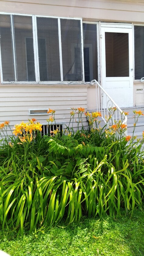 Front Porch - 20 W 9th St