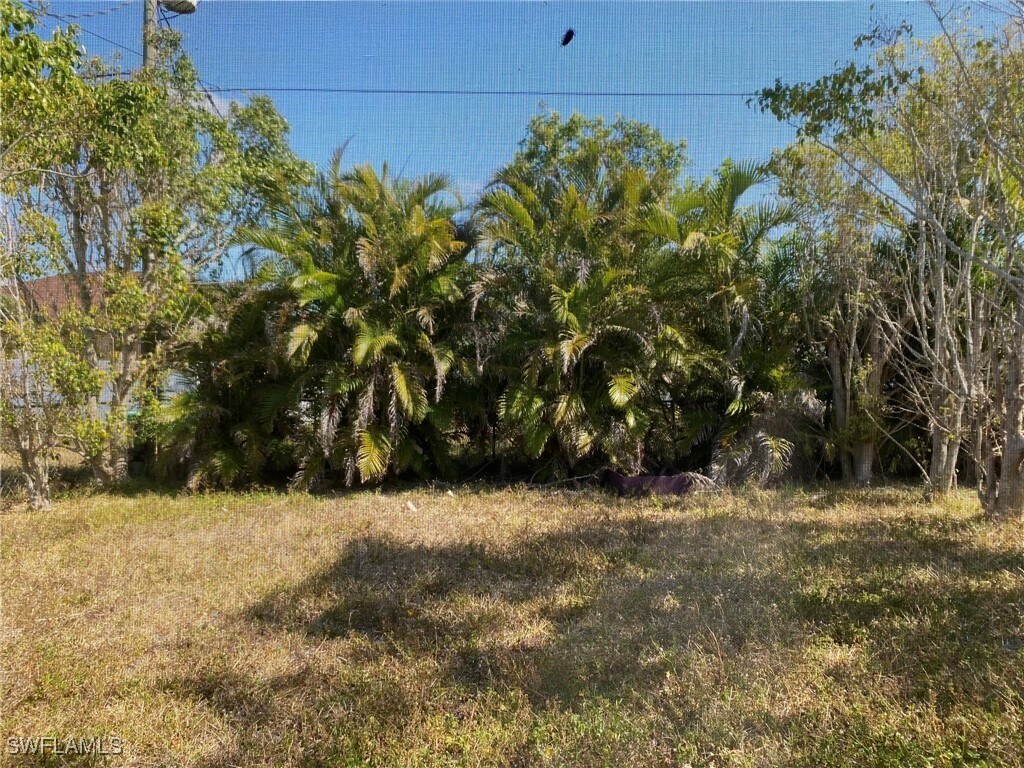 Building Photo - 919 Cape Coral Pkwy W
