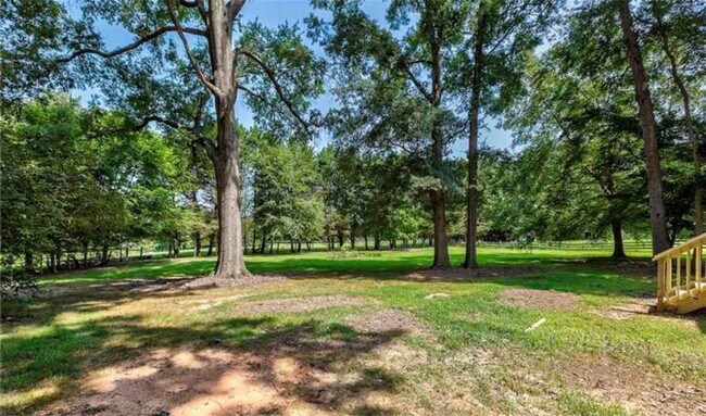 Building Photo - 2913 Ashley Woods Ct