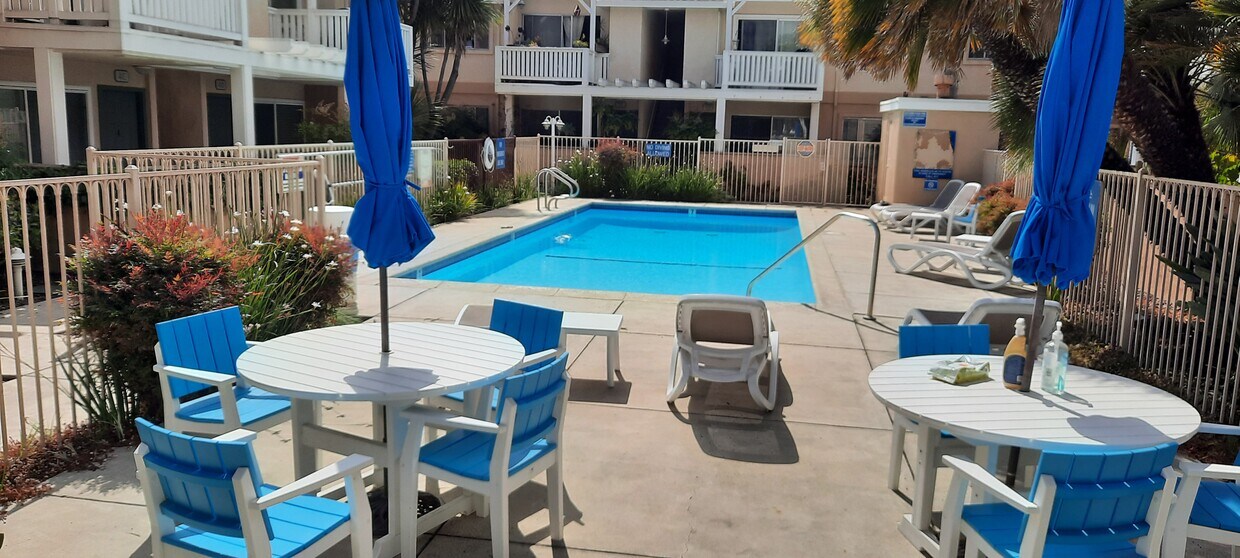 Pool - 3663 San Remo Dr