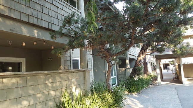 Entrance - 408 La Gonda Way