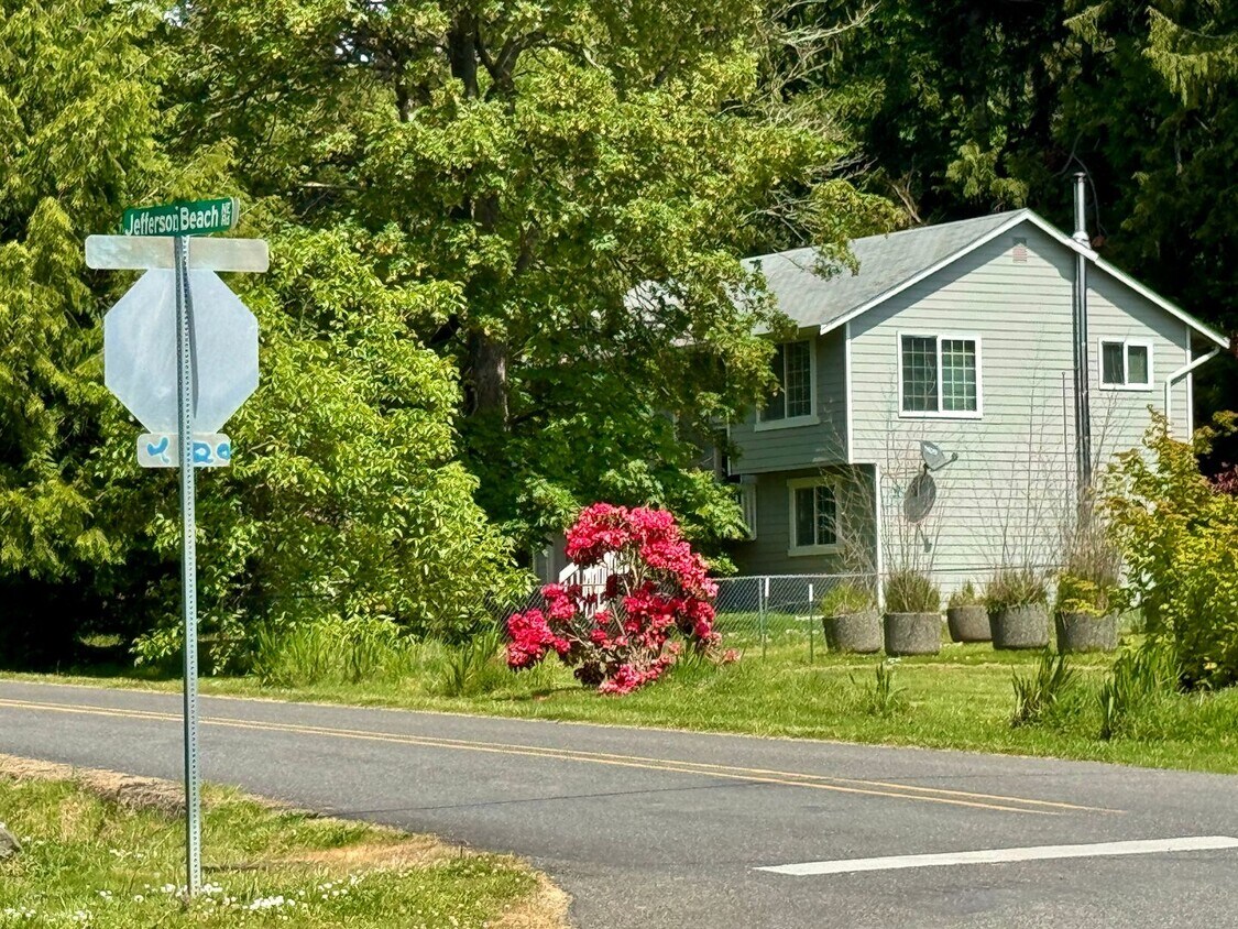 Primary Photo - Lovely Kingston 3 bedroom available now