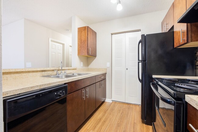 Interior Photo - Coral Falls