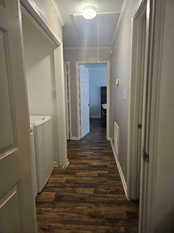 Building Photo - 536 Shadow Moss Dr