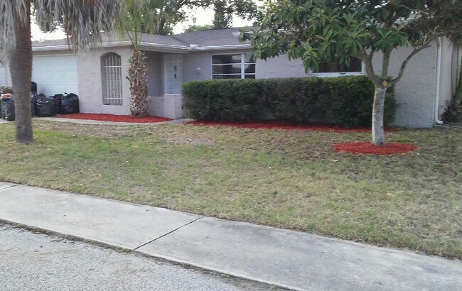 Foto del edificio - Newly Renovated 3/2 House - 7301 Westcott Dr.