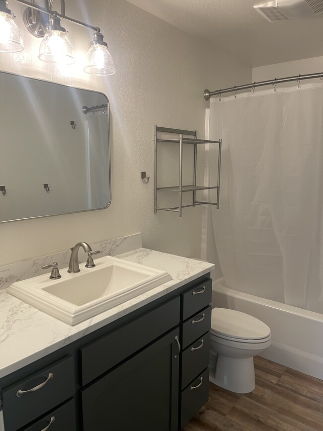 Building Photo - 309 Lithia Ave