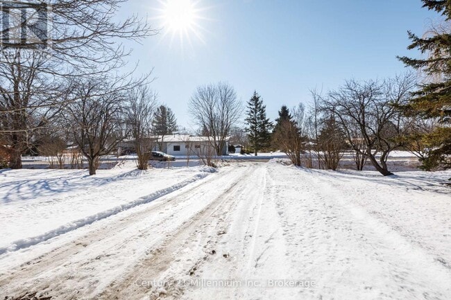 Building Photo - 129 Edward St