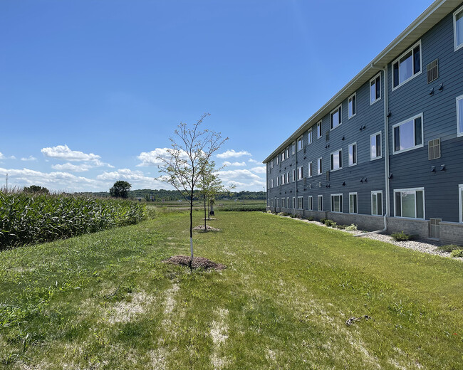 Building Photo - Belle Court Apartments