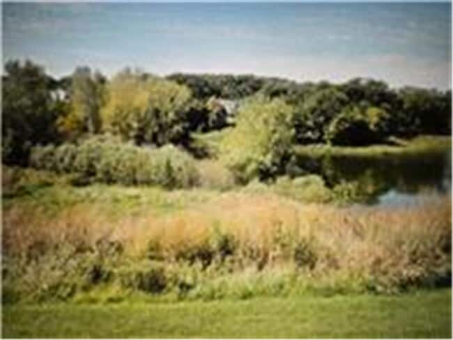 Building Photo - 7445 Timber Crest Dr S