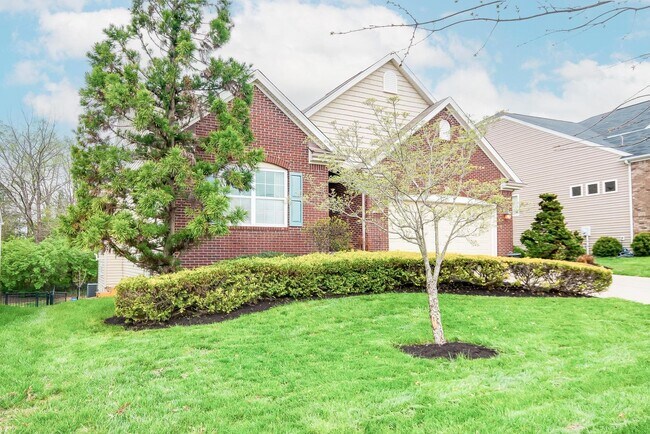 Foto del edificio - 216 Rockcrest Way