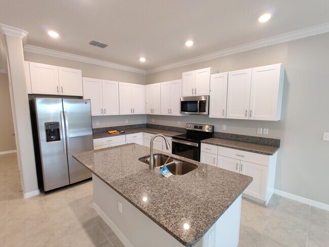Building Photo - 31580 Blue Passing Loop Wesley Chapel, FL ...