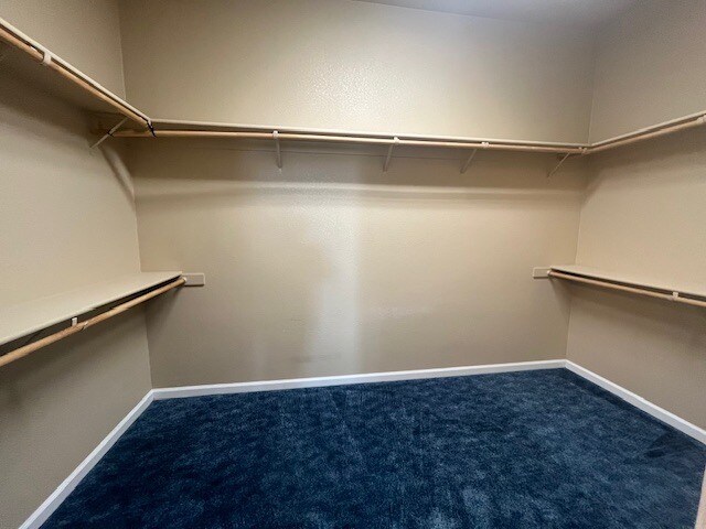 Building Photo - 427 Sea Cove Dr