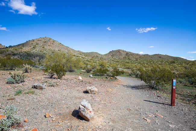 Phoenix Sonoran Preserve Trails - Meritum Sonoran Desert