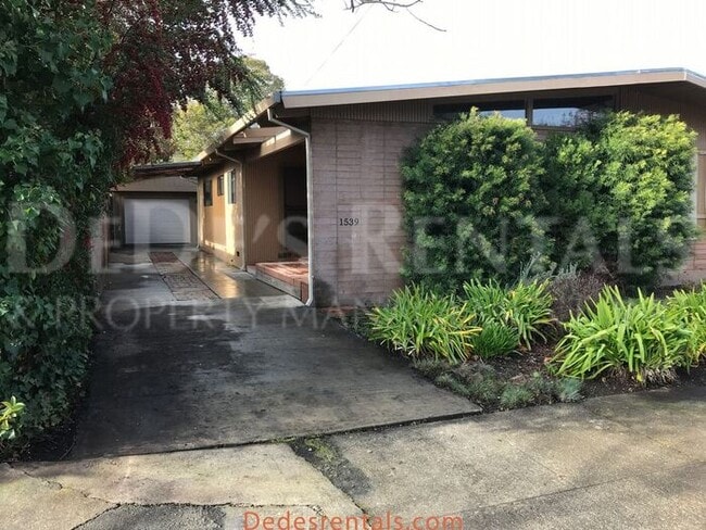 Building Photo - 1539 Camden Ct