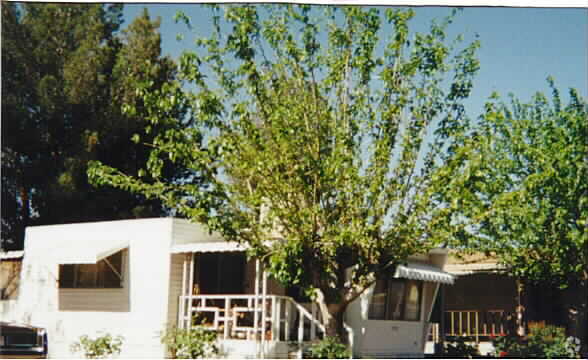 Foto del edificio - Sierra Sands Mobile Home Park