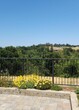 Primary Photo - 287 Portola Rd