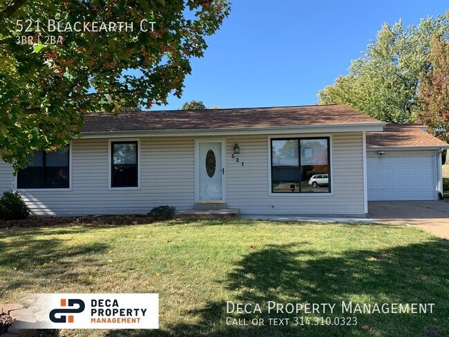 Building Photo - 521 Blackearth Ct
