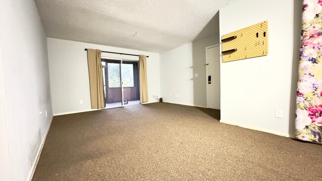 Photo - 6519 W Newberry Rd Apartment