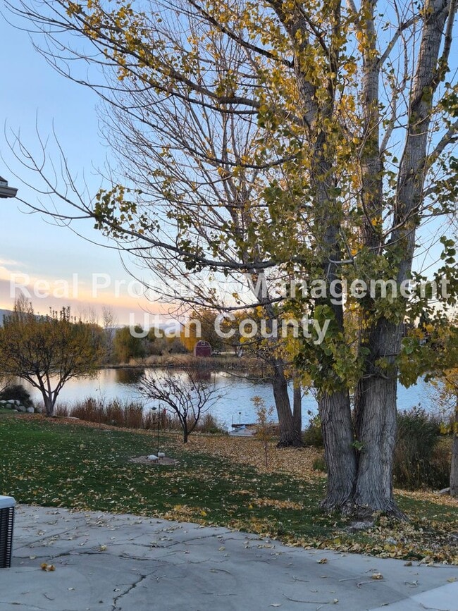 Building Photo - Pond view Basement Apartment