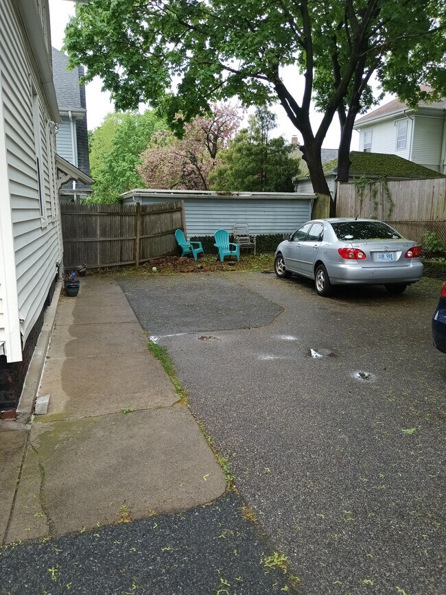 Back yard - 23 Ogden St