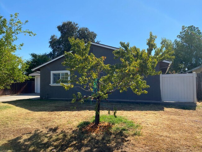 Building Photo - All Freshened Up and Waiting!