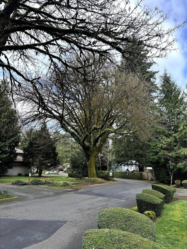 Foto del edificio - 2821 60th Ln SE