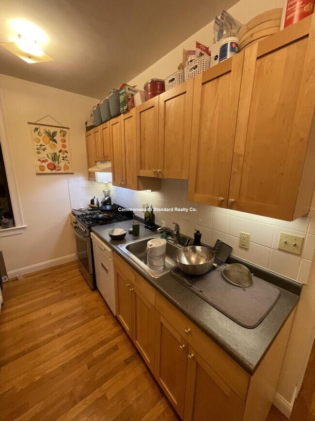 Building Photo - 2 bedroom in Brighton MA 02134