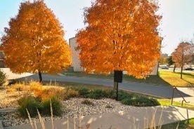 Building Photo - The Oaks Apartments