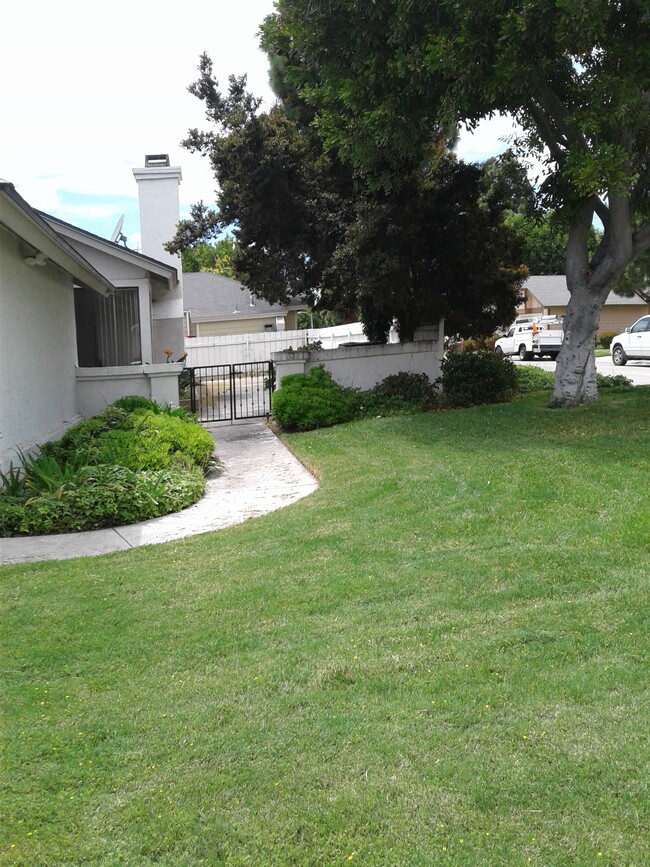 Fox Front Yard - 641 Nantucket Dr