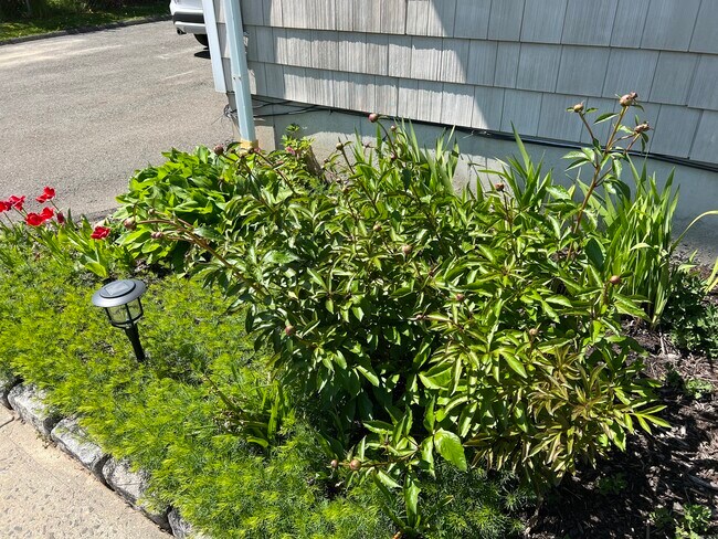 Foto del edificio - 3 Seeley St