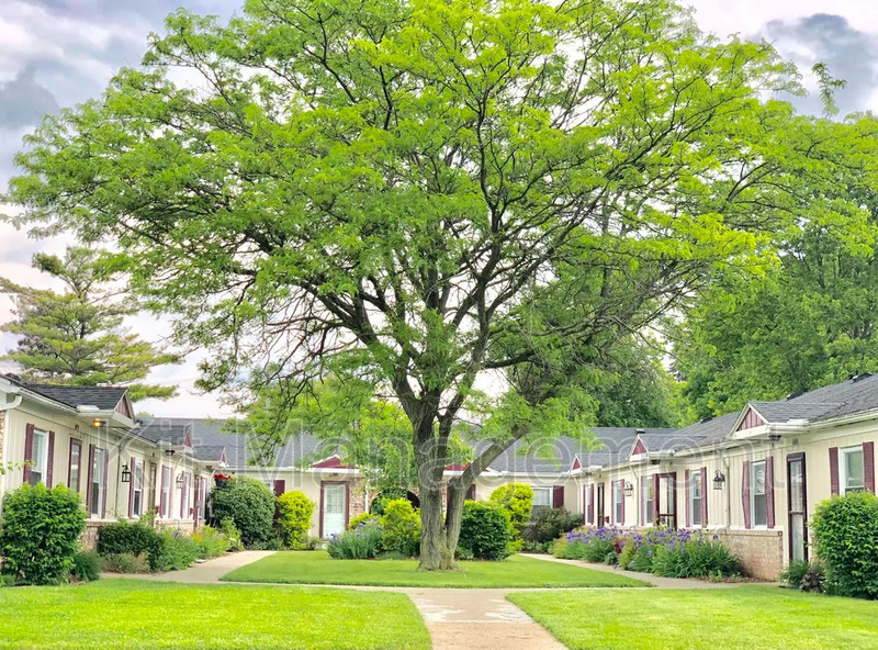Foto principal - 6055 Lewis Ave
