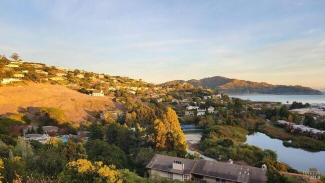 Foto del edificio - 45 Harbor Oak Dr