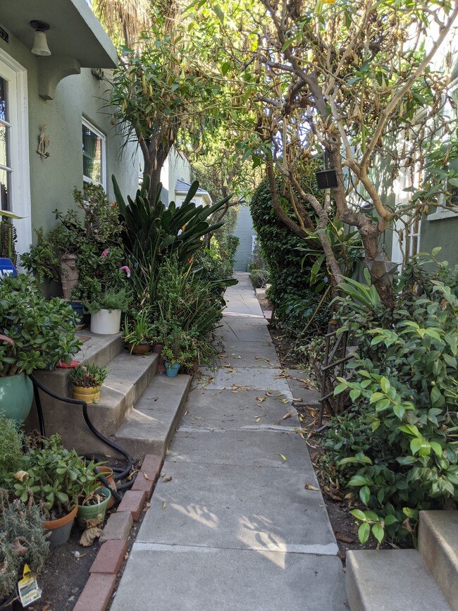 Pathway to the Cottage - 5141 Clinton St