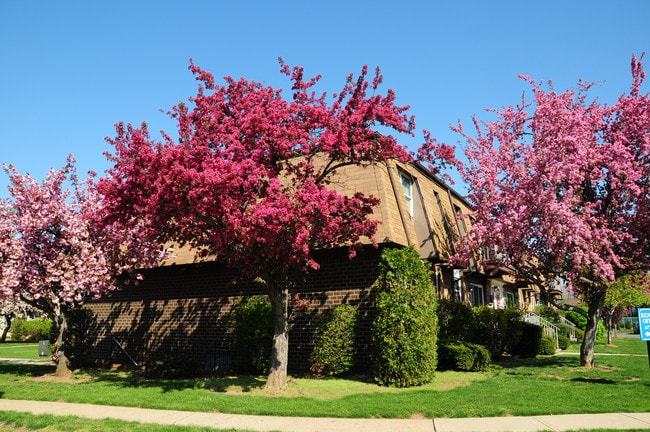 Foto del edificio - Woodbridge Village