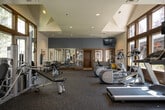 This fitness center is thoughtfully designed to support a comprehensive workout experience within a single-level layout. The main exercise floor is generously proportioned, featuring high vaulted ceilings that enhance the sense of openness and airiness throughout the space. Tall, wood-framed windows line the walls on multiple sides, flooding the interior with abundant natural light and offering pleasant views of surrounding greenery.

The workout area is equipped with a well-rounded selection of fitness machines, including treadmills, elliptical trainers, and a multi-station strength training unit, all arranged on durable rubberized flooring. A large mirror wall along one side of the room enhances visibility and amplifies the sense of space. A wall-mounted television is positioned for easy viewing during cardio sessions.

Entry to the facility is provided through double glass doors that offer a view toward an outdoor pool area, reinforcing the connection between indoor and outdoor amenities. Recessed lighting and ample ventilation complement the natural light throughout.

The locker room facilities are well-appointed, featuring tile flooring, a dual-sink vanity with a wide mirror, individual stall partitions, and shower access. Warm-toned tile work, wood cabinetry, and decorative touches give the restrooms a clean and polished finish. Overall, the space strikes a balance between functionality and a welcoming, upscale aesthetic.