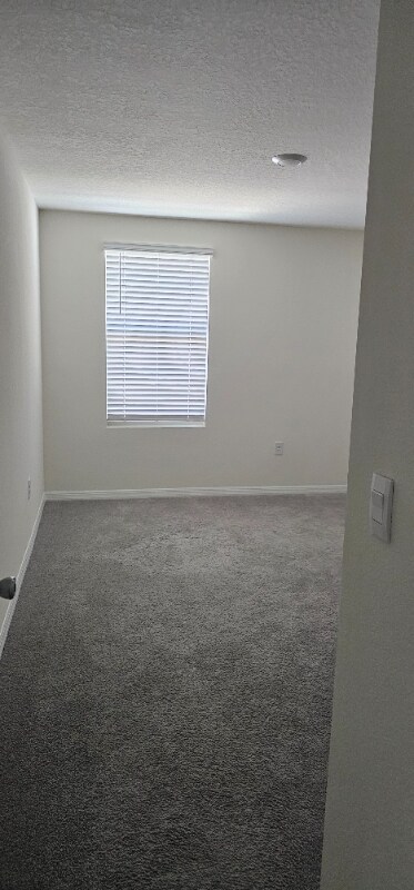 Foto del edificio - 35288 Spruce Knob Ct