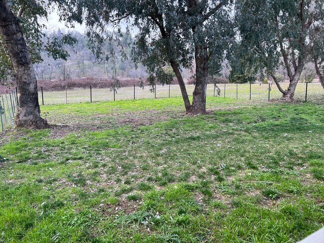 Foto del edificio - Country Setting 4-bedroom, 2-bathroom home!