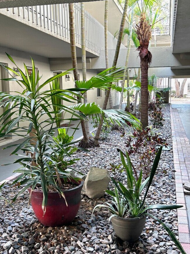 Building Photo - 2025/26 FALL/ WINTER MONTHLY  RENTAL ! FUR...