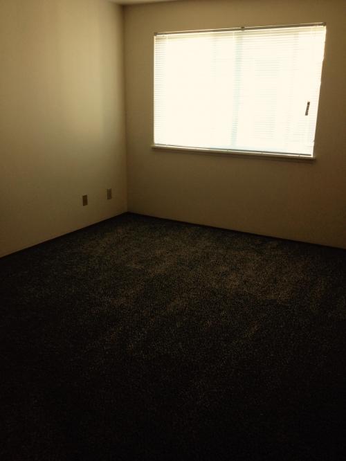 Building Photo - 2 bedroom in Seattle WA 98126