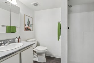 Interior Photo - Sahara and Playa Palms
